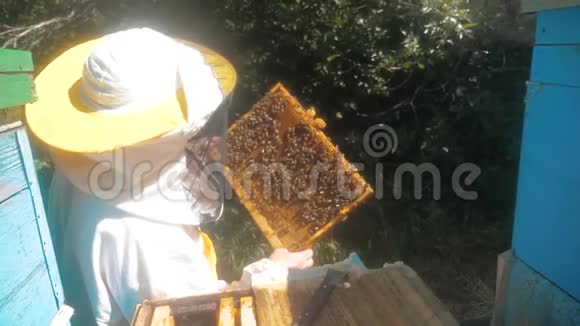 蜜蜂饲养员在蜜蜂蜂群框架内工作的多色蜂窝慢动作视频视频的预览图