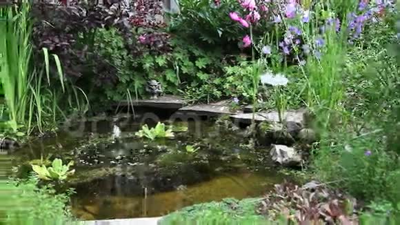 花园池塘的一个运动控制的平底锅视频的预览图