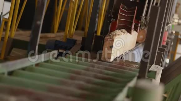木制横梁在输送机上木材加工在木工工厂工业内部在锯木厂视频的预览图