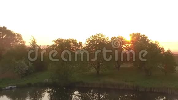 早晨伴随着树木的橙色日出视频的预览图