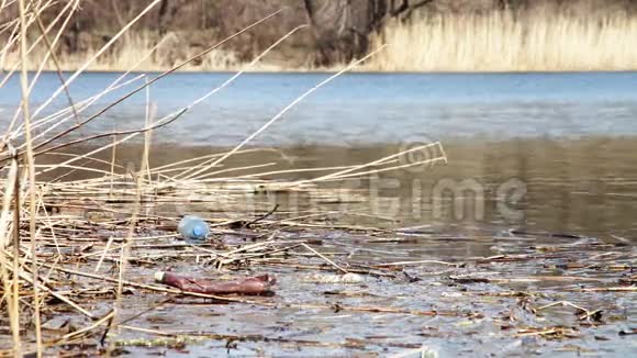 河里的垃圾塑料瓶视频的预览图