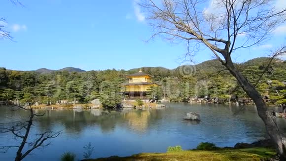 日本京都金阁寺景观视频的预览图