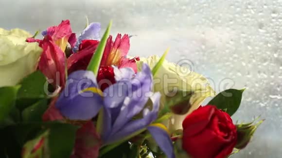 水滴落在美丽的玫瑰花束上虹膜和阿尔斯特美里亚视频的预览图