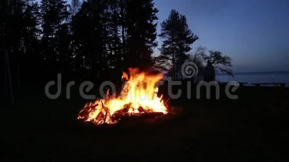 篝火异教徒假日拉脱维亚仲夏之夜视频的预览图