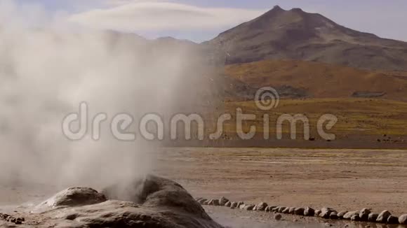 在ElTatioGeyser山谷中断间歇泉海拔4320米智利的主要旅游景点之一视频的预览图