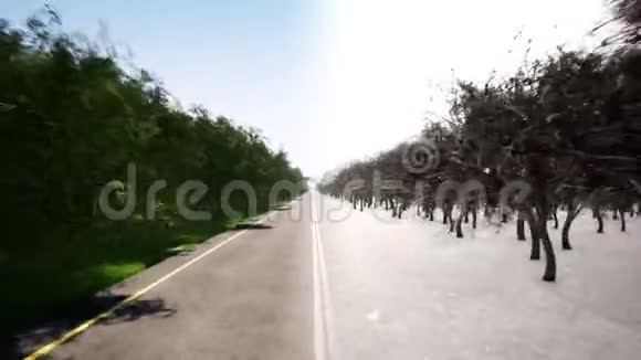 夏季和冬季道路运动3个现实镜头视频的预览图
