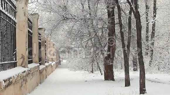 冬天下雪时的公园小巷视频的预览图