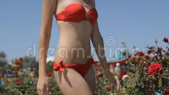 穿着红色泳衣和太阳镜的漂亮女孩视频的预览图