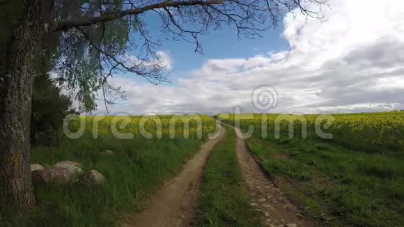 农田碎石路上的春菜田和美丽的云在风中延时4K视频的预览图