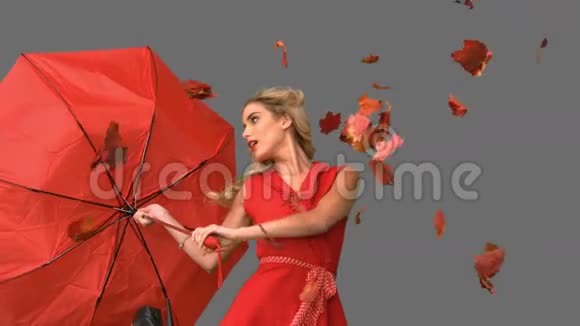 漂亮迷人的女人在灰色的屏幕上拿着一把破伞视频的预览图