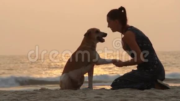 女孩和她的狗握手视频的预览图