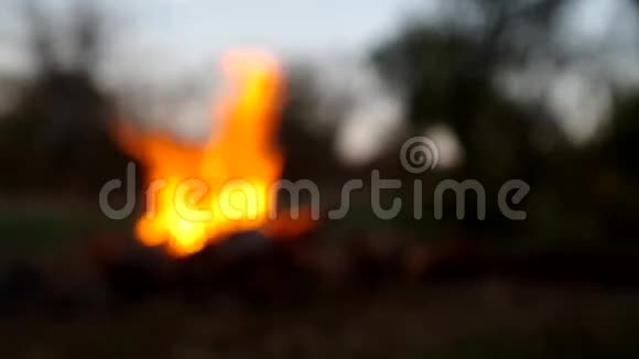 森林的营地火灾视频的预览图