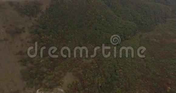 在多云天气秋林4K雾蒙蒙的山区进行空中摄影视频的预览图