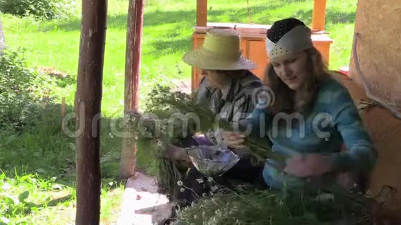 孙女和奶奶在树荫下坐着收获医学上的快乐视频的预览图
