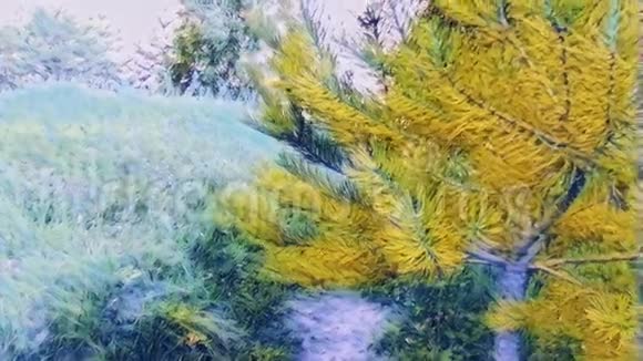 艺术家梵高的夏日视频的预览图