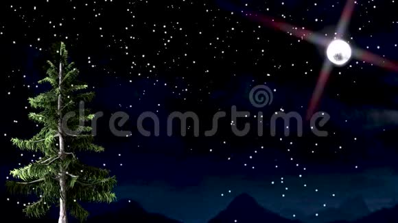 冬天的夜晚月光和随风移动的树木构成了一道生动的风景视频的预览图