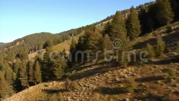 空中拍摄森林和山腰视频的预览图