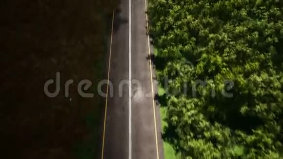 雨天森林道路鸟瞰3D现实镜头视频的预览图