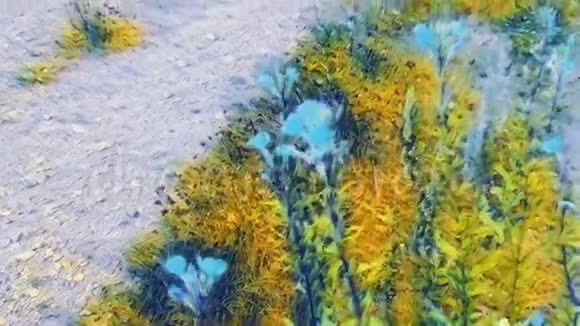 艺术家梵高的夏日视频的预览图