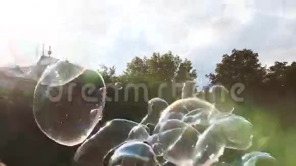 悬浮中的大肥皂泡视频的预览图