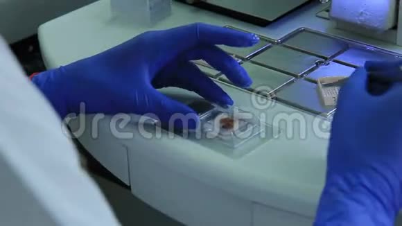 样品放置在石蜡包埋的胶囊中病理形态学实验室视频的预览图