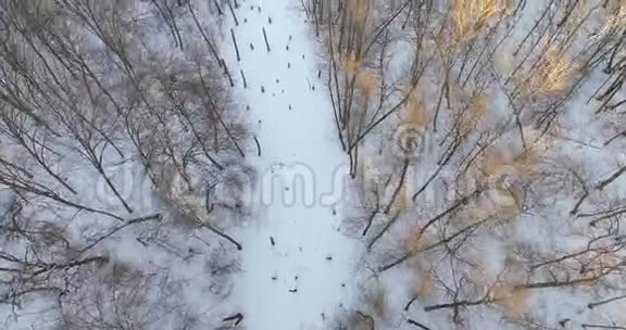 空中观景台飞越美丽的冬河和森林冬天的大自然景观全景乌克兰视频的预览图