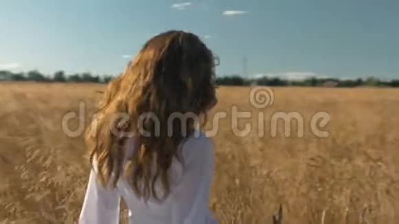 一个穿着白色连衣裙的女人带着小麦沿着田野走着视频的预览图