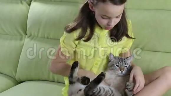 小女孩和她心爱的猫交流视频的预览图