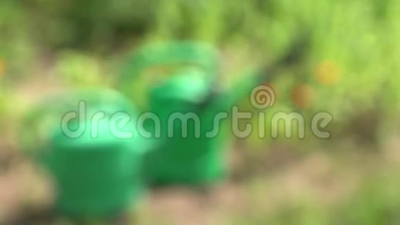 花园里有两个带万寿菊的绿色塑料浇水罐4K视频的预览图