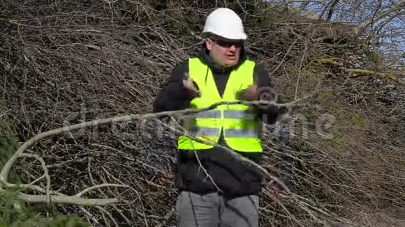 愤怒的伐木工人在一堆树枝旁谈话视频的预览图