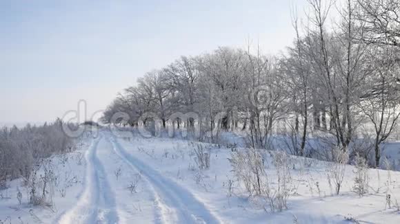 雪中的树木冬天的田野雪中的自然景观阳光下的草地雪和道路视频的预览图