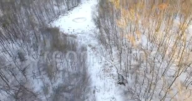 空中观景台飞越美丽的冬河和森林冬天的大自然景观全景乌克兰视频的预览图