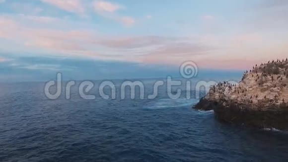空中观景台从悬崖上飞到海里很多鸟在海里的岩石上视频的预览图
