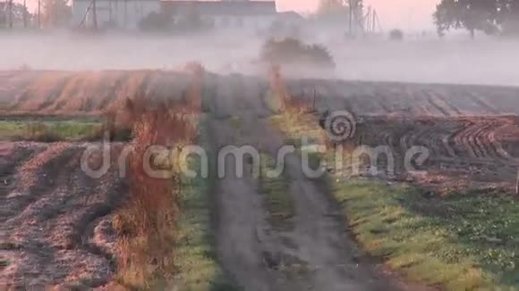 清晨的田野秋霜的道路视频的预览图