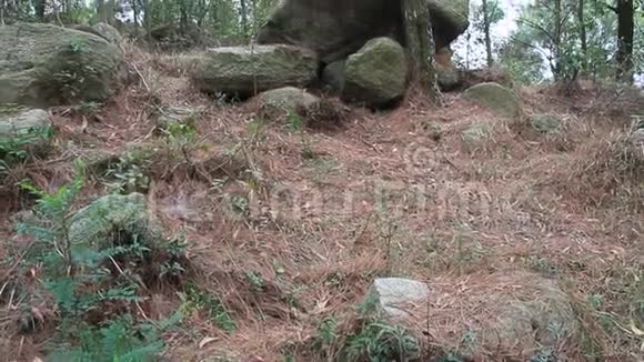 岩山风光的场景视频的预览图