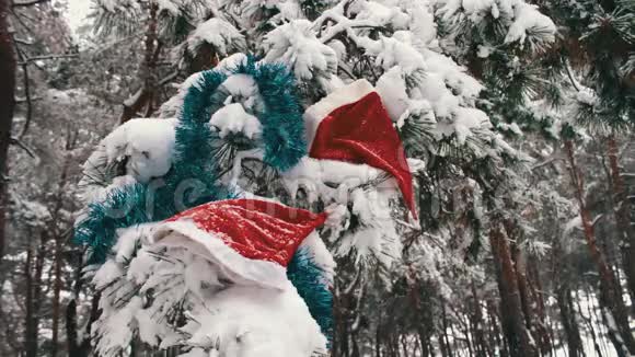 在森林里有圣诞老人的帽子和圣诞树的装饰品视频的预览图