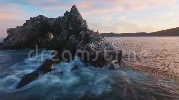 空中观景台从悬崖上飞到海里很多鸟在海里的岩石上视频的预览图