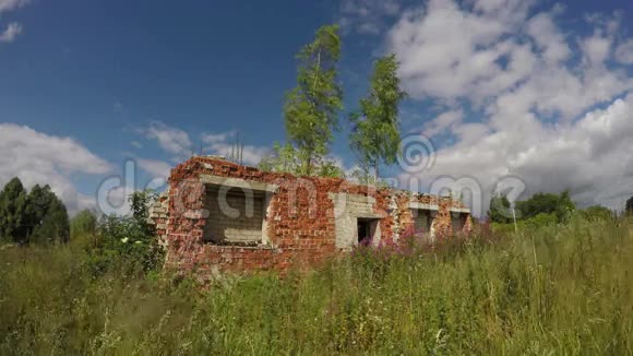 苏联加尔各答集体农场废墟上的草地4K视频的预览图