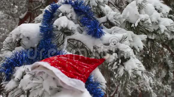 在森林里有圣诞老人的帽子和圣诞树的装饰品视频的预览图