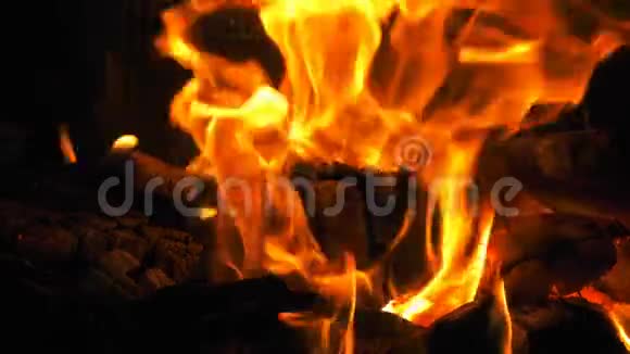 木火燃烧火焰运动视频的预览图