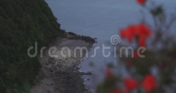 大岛阿马米奥岛的马南扎基海角的杜鹃花视频的预览图