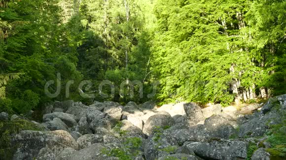 石河自然现象在维托沙自然公园附近索菲亚保加利亚金桥区视频的预览图