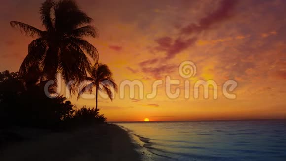 墨西哥加勒比海玛雅里维埃拉棕榈树海滩日出视频的预览图