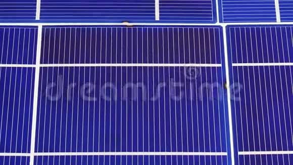 太阳能电池板电池元件组件详细查看背景视频的预览图