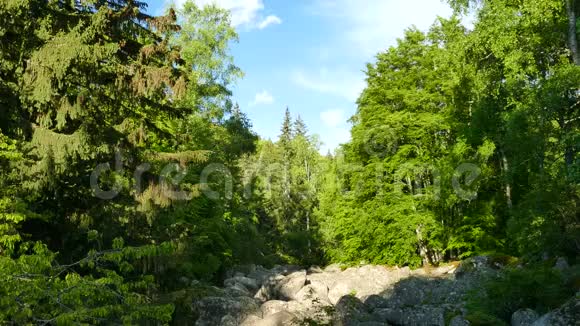 石河自然现象在维托沙自然公园附近索菲亚保加利亚金桥区视频的预览图