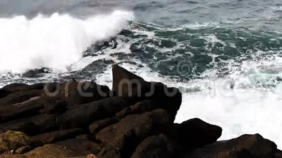海浪冲击熔岩海岸视频的预览图