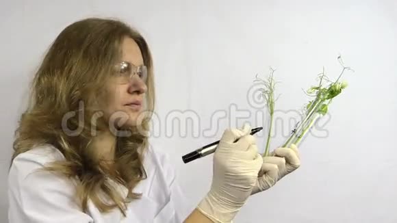 戴眼镜的女人在装有豌豆的烧瓶上写数字视频的预览图