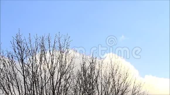 雨云天空背景空间时间流逝树冬天视频的预览图