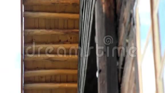 用原木制成的坚固的木木木屋和雪松摇顶的景色视频的预览图