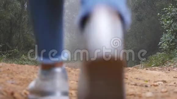 穿着雨衣的小女孩在旅行时走在树林里徒步旅行的女人在热带潮湿的森林里散步女游客视频的预览图